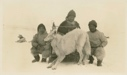 Image of White wolf and MacMillan's 3 Eskimos [Inughuit]